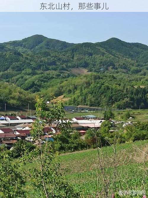 东北山村，那些事儿