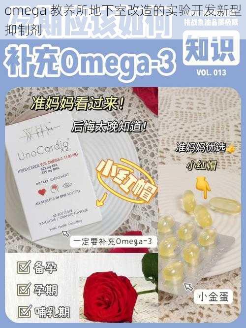 omega 教养所地下室改造的实验开发新型抑制剂