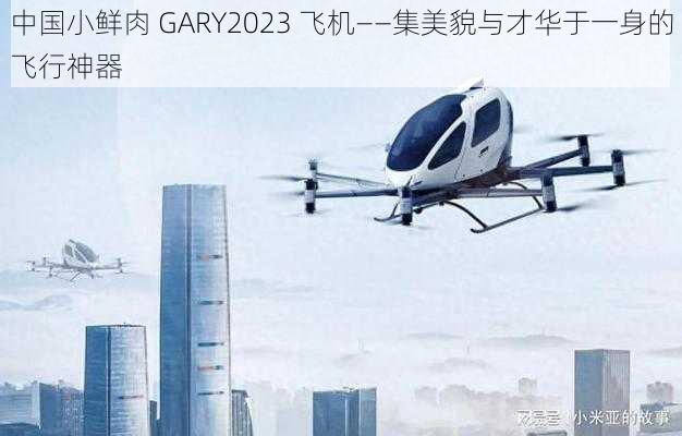 中国小鲜肉 GARY2023 飞机——集美貌与才华于一身的飞行神器