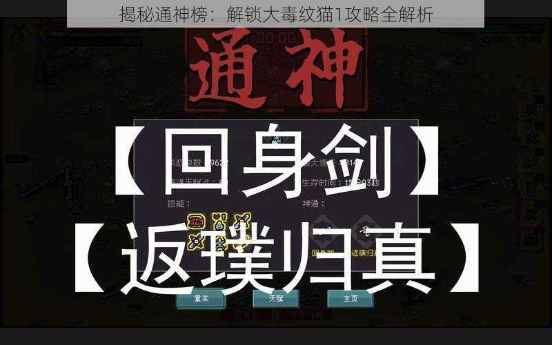 揭秘通神榜：解锁大毒纹猫1攻略全解析