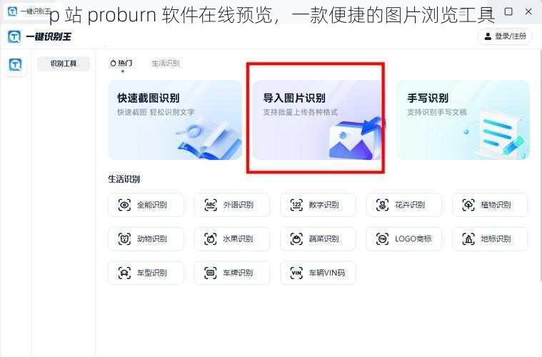 p 站 proburn 软件在线预览，一款便捷的图片浏览工具