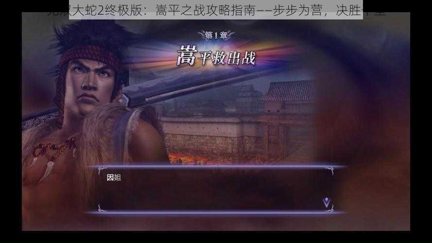 无双大蛇2终极版：嵩平之战攻略指南——步步为营，决胜千里