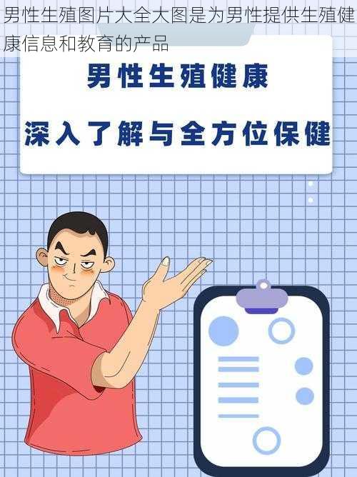 男性生殖图片大全大图是为男性提供生殖健康信息和教育的产品