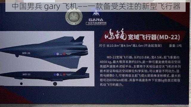 中国男兵 gary 飞机——一款备受关注的新型飞行器