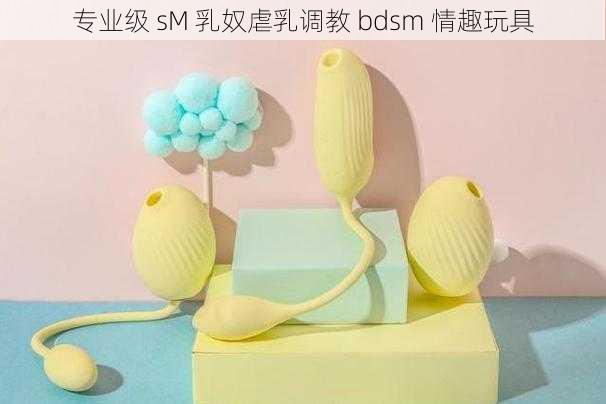 专业级 sM 乳奴虐乳调教 bdsm 情趣玩具