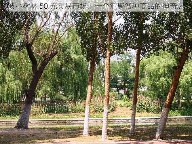 宁波小树林 50 元交易市场：一个汇聚各种商品的神奇之地