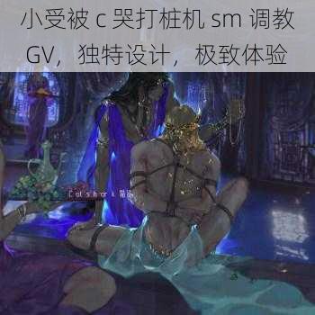 小受被 c 哭打桩机 sm 调教 GV，独特设计，极致体验