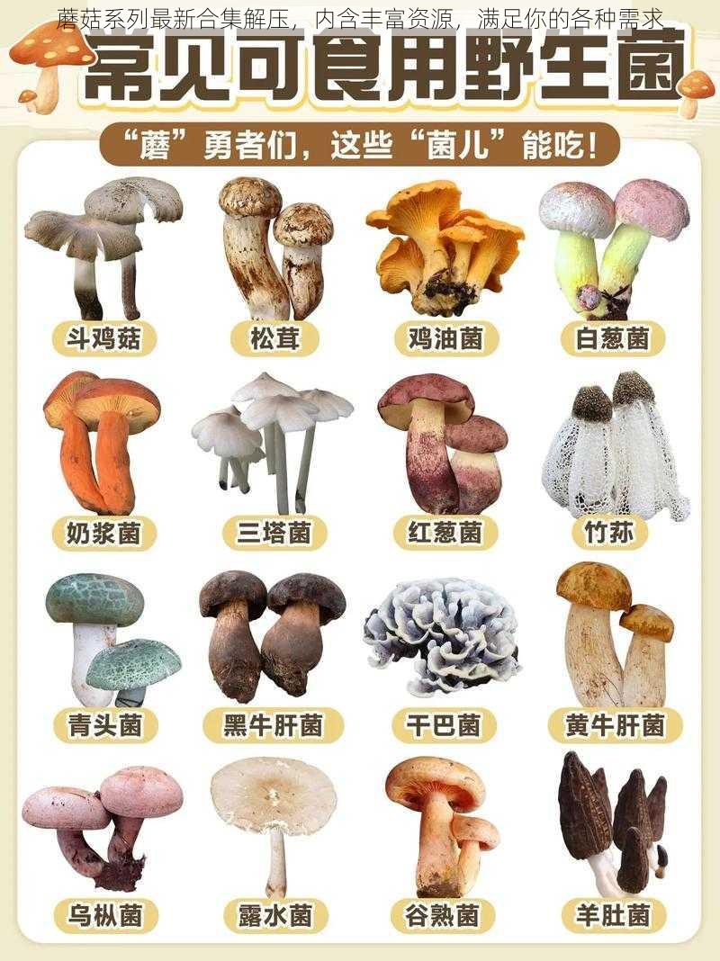 蘑菇系列最新合集解压，内含丰富资源，满足你的各种需求