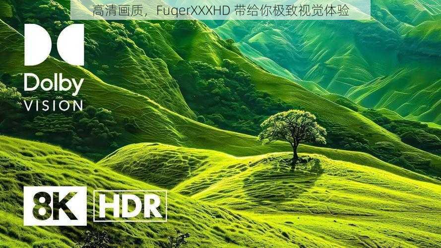 高清画质，FuqerXXXHD 带给你极致视觉体验