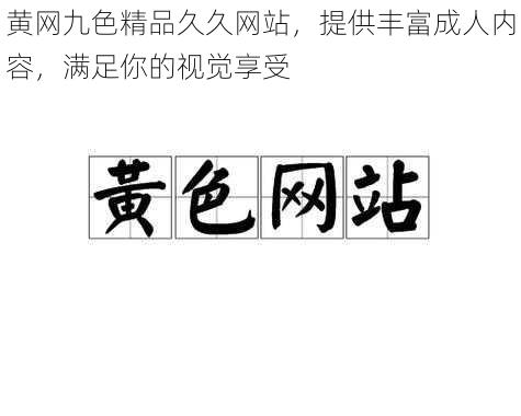 黄网九色精品久久网站，提供丰富成人内容，满足你的视觉享受