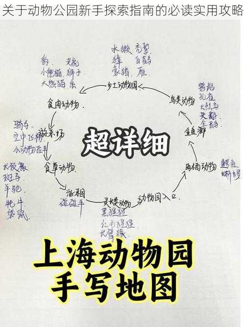 关于动物公园新手探索指南的必读实用攻略