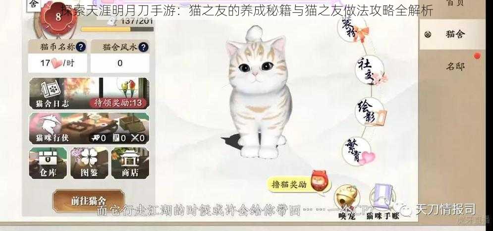 探索天涯明月刀手游：猫之友的养成秘籍与猫之友做法攻略全解析