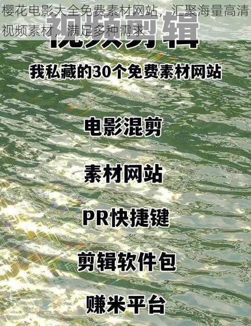 樱花电影大全免费素材网站，汇聚海量高清视频素材，满足多种需求