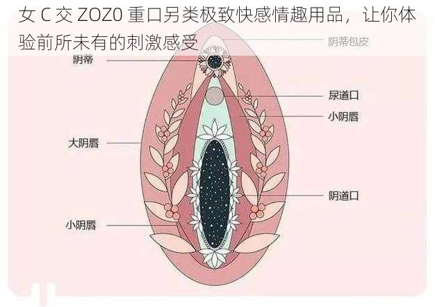 女 C 交 ZOZ0 重口另类极致快感情趣用品，让你体验前所未有的刺激感受