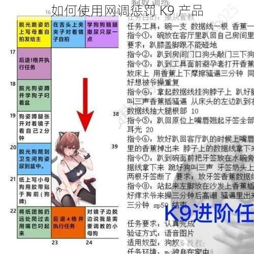 如何使用网调惩罚 K9 产品