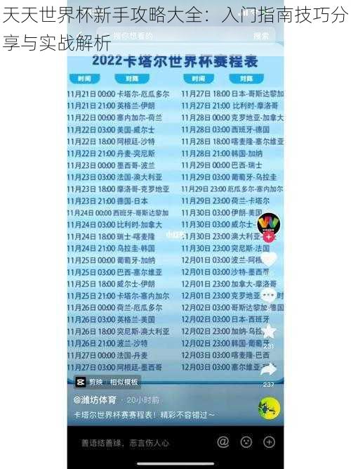 天天世界杯新手攻略大全：入门指南技巧分享与实战解析