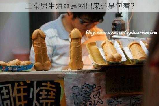 正常男生殖器是翻出来还是包着？