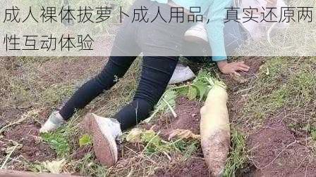 成人裸体拔萝卜成人用品，真实还原两性互动体验