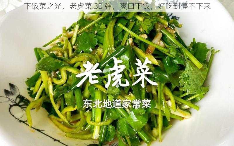 下饭菜之光，老虎菜 30 弹，爽口下饭，好吃到停不下来