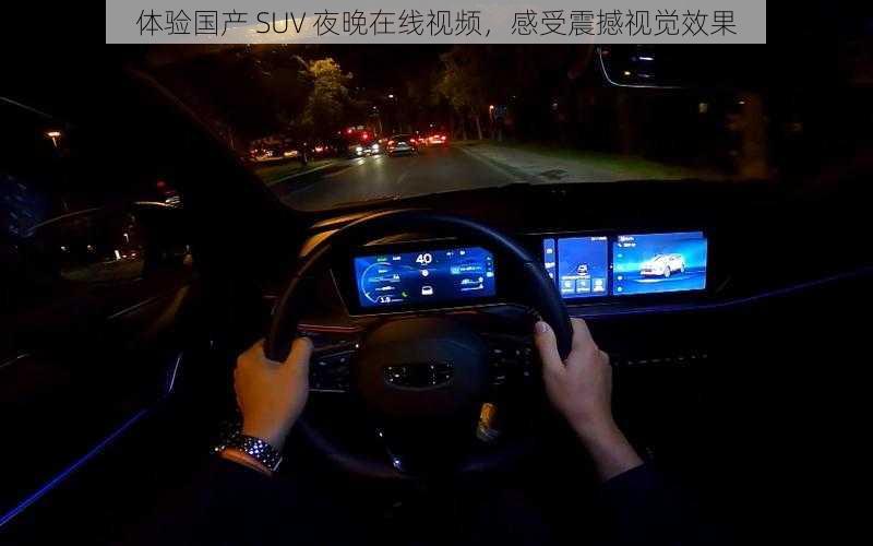 体验国产 SUV 夜晚在线视频，感受震撼视觉效果