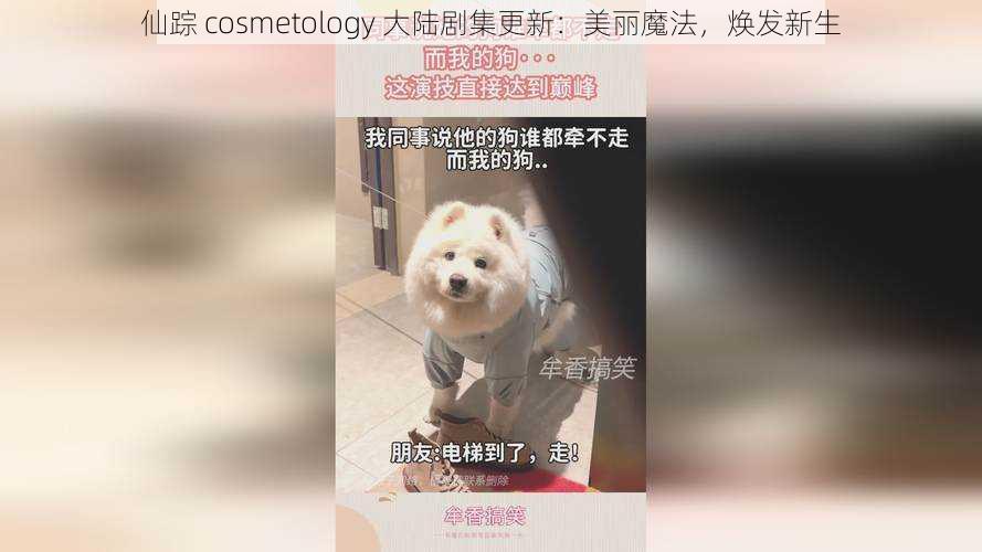 仙踪 cosmetology 大陆剧集更新：美丽魔法，焕发新生