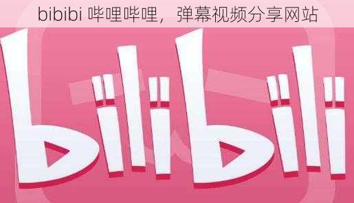 bibibi 哔哩哔哩，弹幕视频分享网站