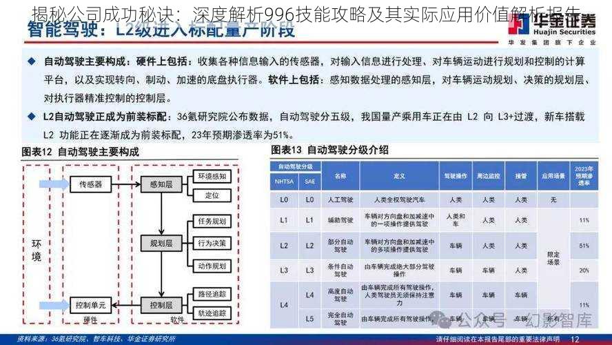 揭秘公司成功秘诀：深度解析996技能攻略及其实际应用价值解析报告