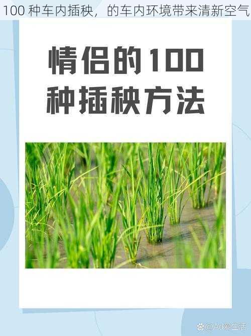 100 种车内插秧，的车内环境带来清新空气