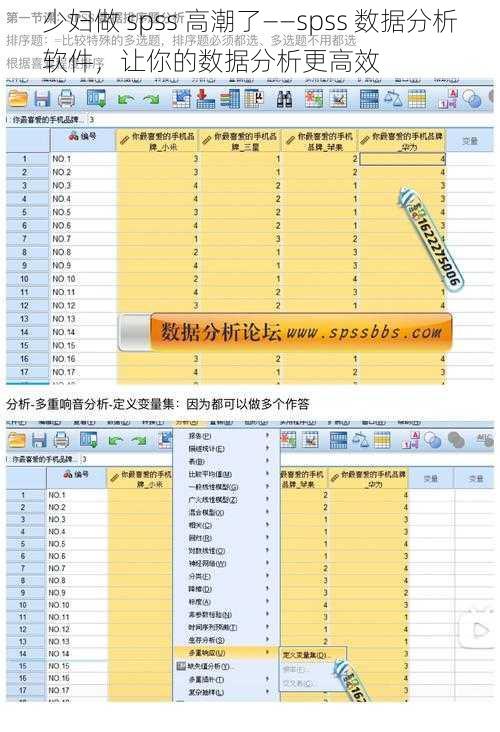 少妇做 spss 高潮了——spss 数据分析软件，让你的数据分析更高效