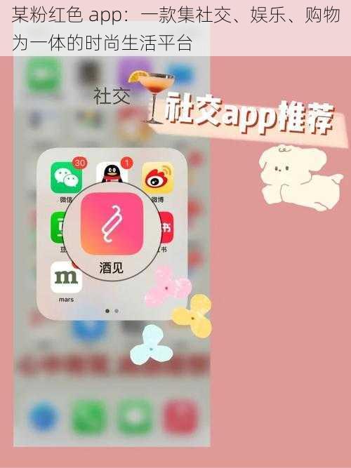 某粉红色 app：一款集社交、娱乐、购物为一体的时尚生活平台