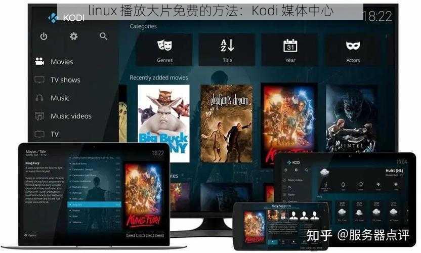 linux 播放大片免费的方法：Kodi 媒体中心