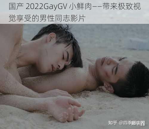 国产 2022GayGV 小鲜肉——带来极致视觉享受的男性同志影片