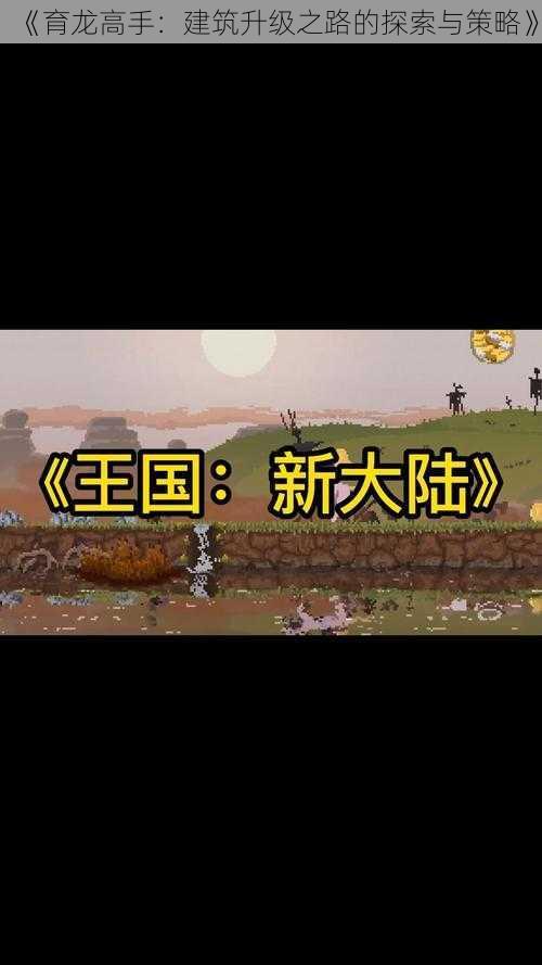 《育龙高手：建筑升级之路的探索与策略》