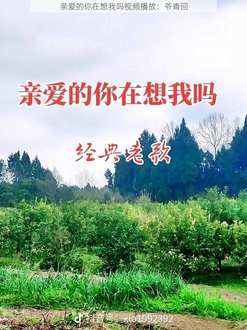 亲爱的你在想我吗视频播放：爷青回