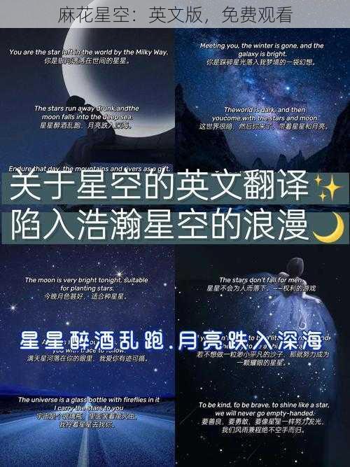 麻花星空：英文版，免费观看