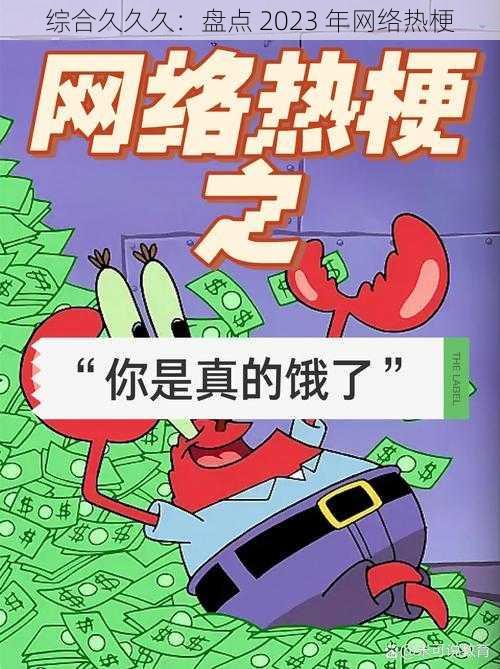 综合久久久：盘点 2023 年网络热梗