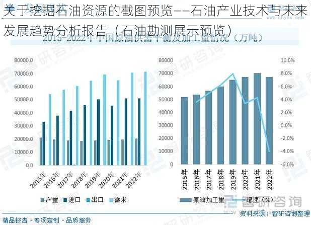 关于挖掘石油资源的截图预览——石油产业技术与未来发展趋势分析报告（石油勘测展示预览）