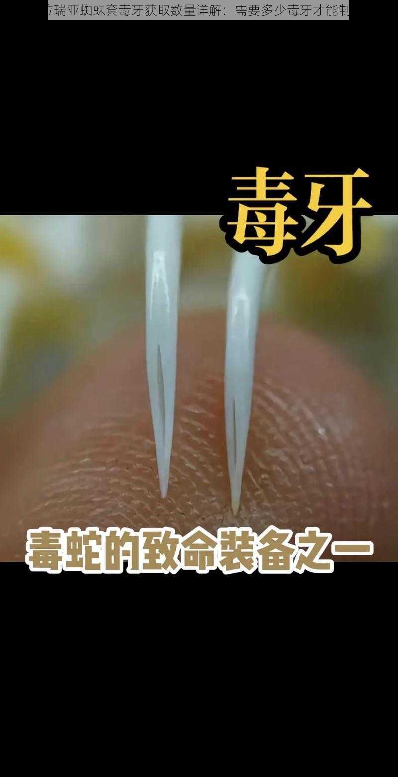 泰拉瑞亚蜘蛛套毒牙获取数量详解：需要多少毒牙才能制作？