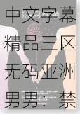 中文字幕精品三区无码亚洲男男：禁忌之爱的秘密