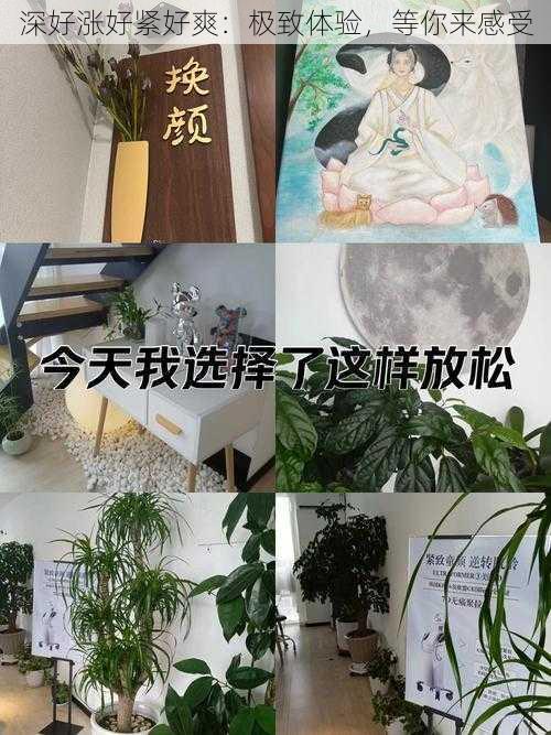 深好涨好紧好爽：极致体验，等你来感受