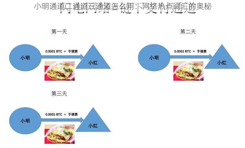 小明通道二通道三通道怎么用：网络热点词汇的奥秘