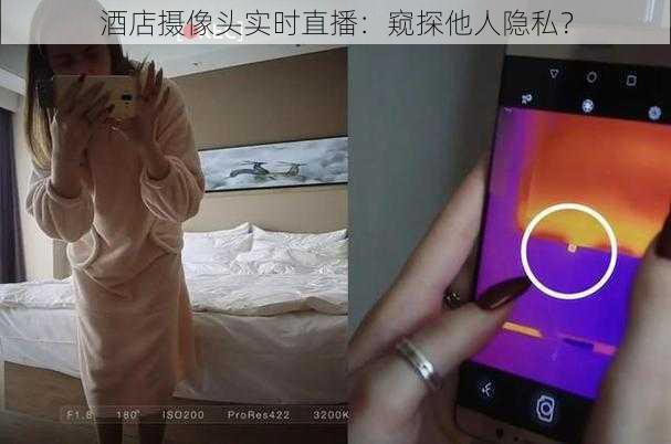 酒店摄像头实时直播：窥探他人隐私？