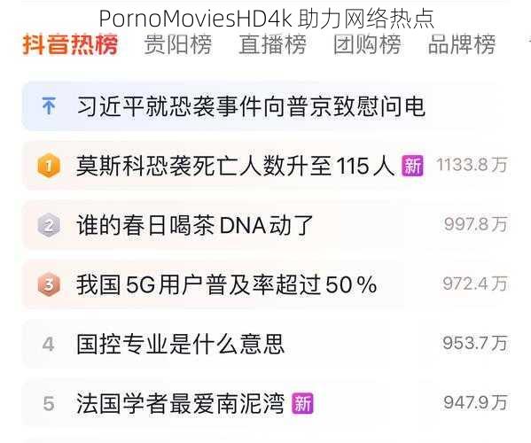 PornoMoviesHD4k 助力网络热点