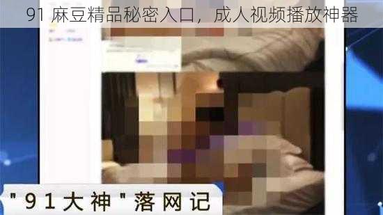 91 麻豆精品秘密入口，成人视频播放神器