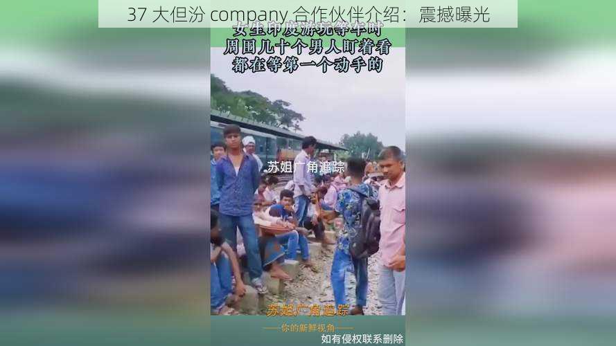 37 大但汾 company 合作伙伴介绍：震撼曝光