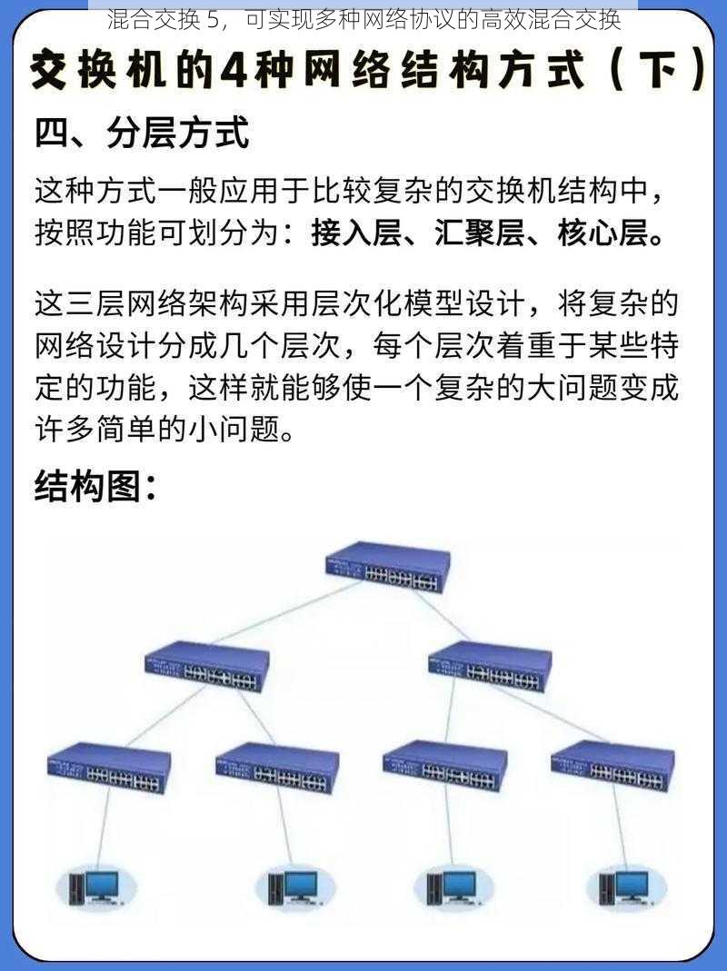 混合交换 5，可实现多种网络协议的高效混合交换