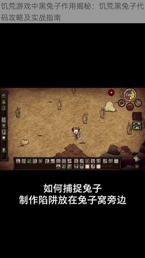 饥荒游戏中黑兔子作用揭秘：饥荒黑兔子代码攻略及实战指南