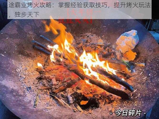 皇途霸业烤火攻略：掌握经验获取技巧，提升烤火玩法实力，独步天下