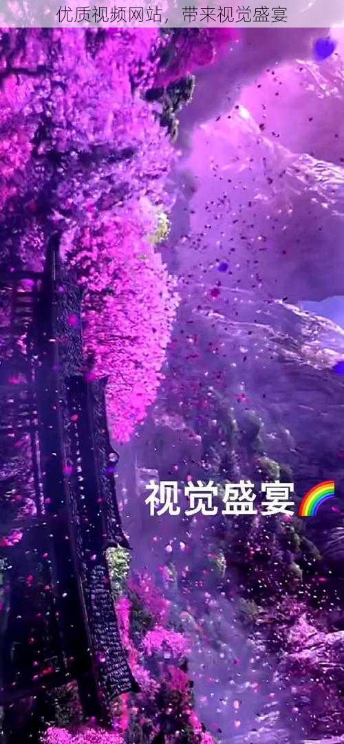 优质视频网站，带来视觉盛宴