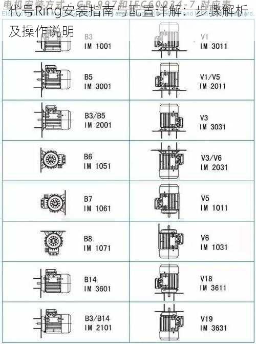 代号Ring安装指南与配置详解：步骤解析及操作说明